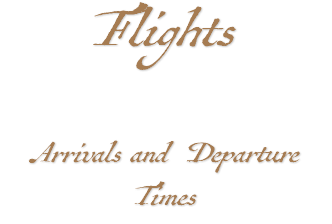Flights Arrivals and Departure Times